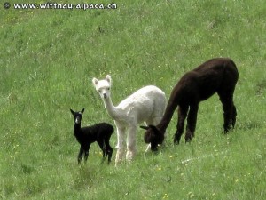 img_0416-1 (1)