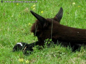 img_0565-1 (1)