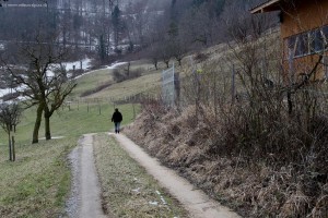 img_1765