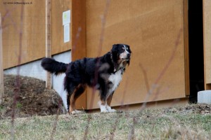 img_1767