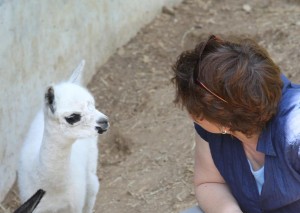 img_2266 (1)