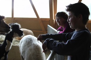 k-img_2642