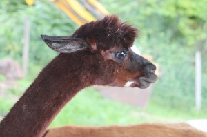 k-img_2657