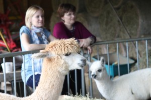 k-img_2796